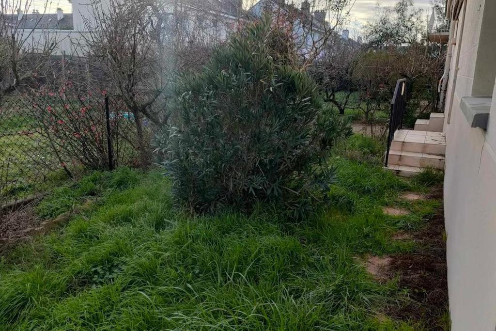 Appartement Cosy 2 Chambres Avec Jardin Les Ponts-de-Ce Luaran gambar